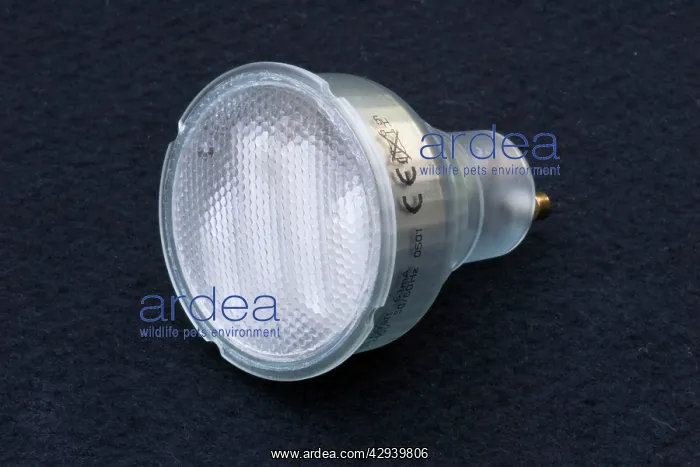 : Lightbulb - These ultra efficient modern GU10 lamps : Lightbulb - These ultra efficient modern GU10 lamps