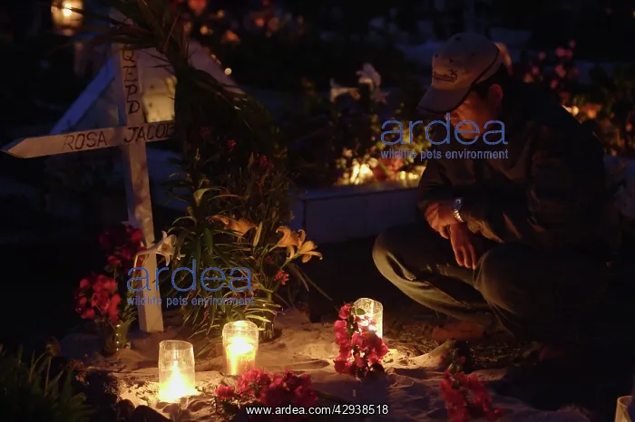 : Lighted candles in the cemetery (on All SaintsI : Lighted candles in the cemetery (on All SaintsI