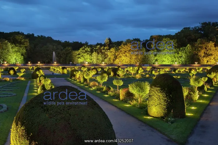  : Lighted Garden of Diane de Poitiers at Chateau