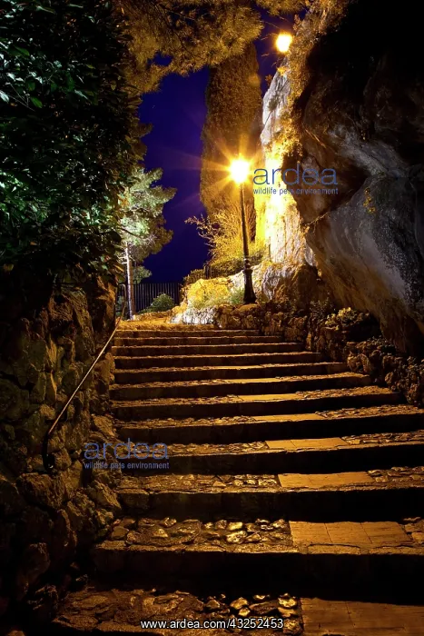 : Lighted street in ancient town of Eze, Provence : Lighted street in ancient town of Eze, Provence
