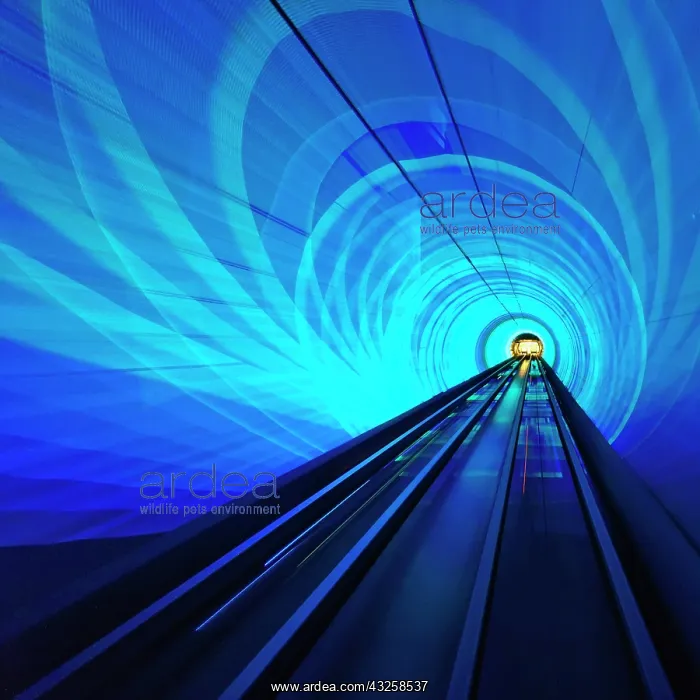 : Lighted subway tunnel, Shanghai, China : Lighted subway tunnel, Shanghai, China