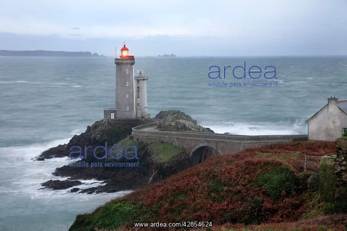 : Lighthouse : Lighthouse