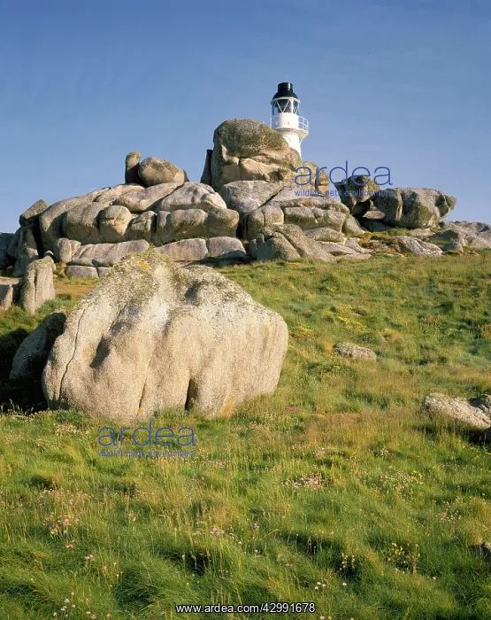 : Lighthouse : Lighthouse