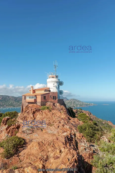 : Lighthouse at Cap du Dramont, Saint-Raphael, Var : Lighthouse at Cap du Dramont, Saint-Raphael, Var