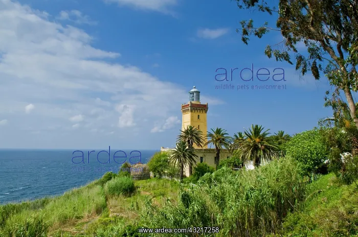 : Lighthouse of Cap Spartel, Tangier, Morocco : Lighthouse of Cap Spartel, Tangier, Morocco