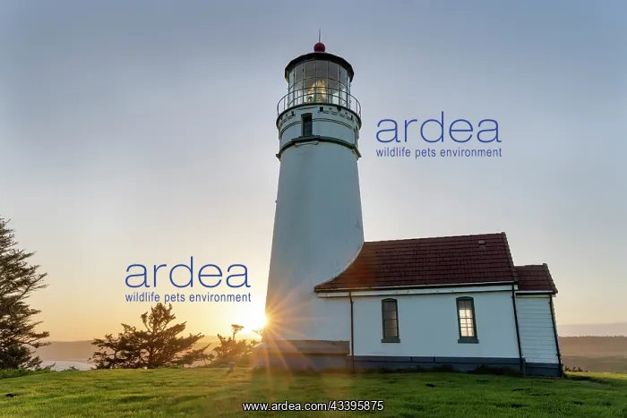 : Lighthouse at Cape Blanco State Park, Oregon, USA : Lighthouse at Cape Blanco State Park, Oregon, USA