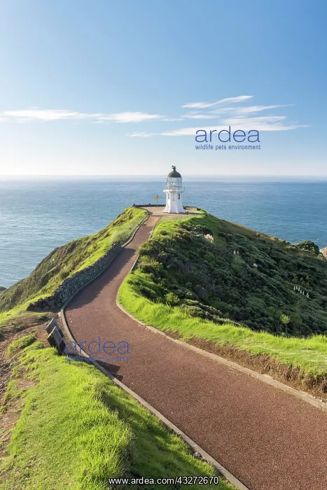 : Lighthouse at Cape Reinga, Northland, North Island : Lighthouse at Cape Reinga, Northland, North Island