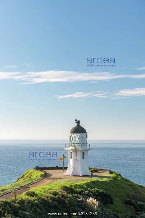 : Lighthouse at Cape Reinga, Northland, North Island : Lighthouse at Cape Reinga, Northland, North Island