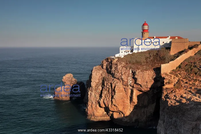 : Lighthouse, Cape Saint Vincent, Cabo de Sao Vicente : Lighthouse, Cape Saint Vincent, Cabo de Sao Vicente