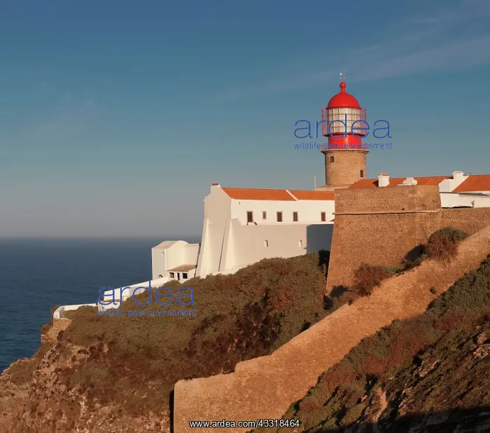 : Lighthouse, Cape Saint Vincent, Cabo de Sao Vicente : Lighthouse, Cape Saint Vincent, Cabo de Sao Vicente