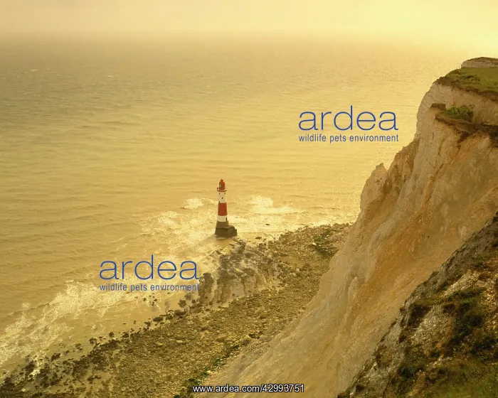: Lighthouse and Cliff Edge : Lighthouse and Cliff Edge