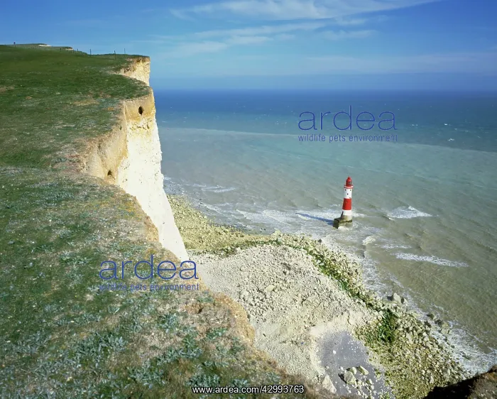 : Lighthouse and Cliff Edge : Lighthouse and Cliff Edge