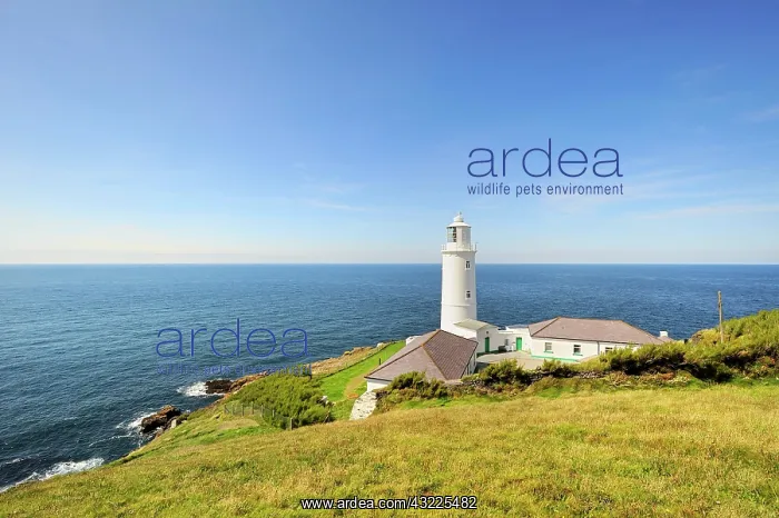 : Lighthouse on the coast of Trevose Head on the north : Lighthouse on the coast of Trevose Head on the north