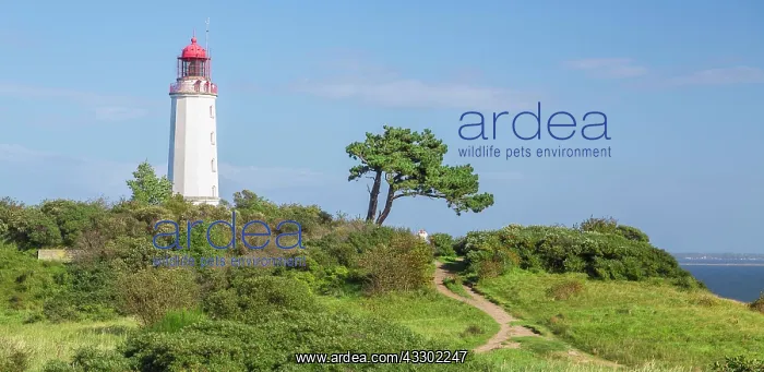 : Lighthouse Dornbusch on the island of Hiddensee : Lighthouse Dornbusch on the island of Hiddensee