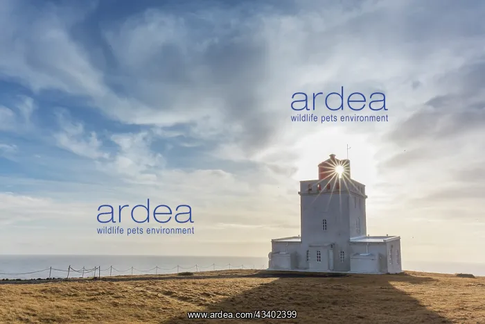 : Lighthouse Dyrholaey - Kap Dyrholaey - Iceland : Lighthouse Dyrholaey - Kap Dyrholaey - Iceland