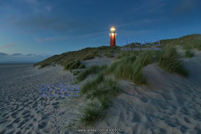 : Lighthouse Eierland - Isle of Texel - Noord-Holland : Lighthouse Eierland - Isle of Texel - Noord-Holland