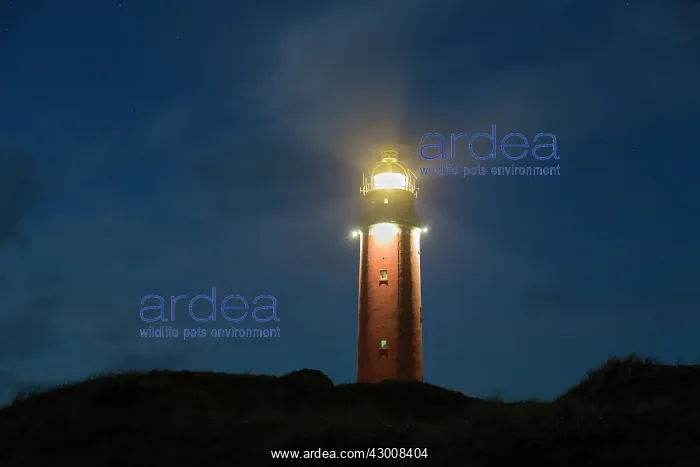 : Lighthouse Eierland - Isle of Texel - Noord-Holland : Lighthouse Eierland - Isle of Texel - Noord-Holland