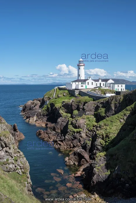 : Lighthouse at Fanad Head, County Donegal, Ireland : Lighthouse at Fanad Head, County Donegal, Ireland