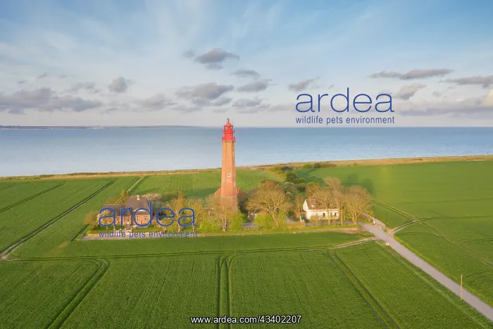 : Lighthouse Fluegge at island Fehmarn - Germany : Lighthouse Fluegge at island Fehmarn - Germany