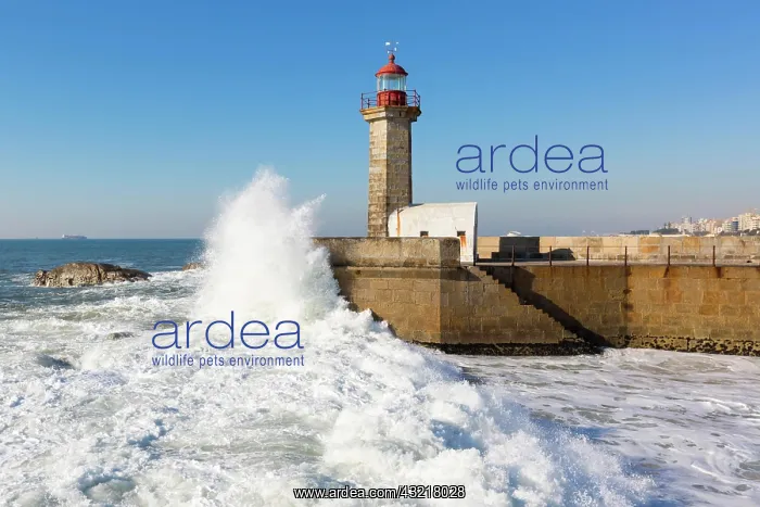 : Lighthouse Foz do Douro, Grande Porto, Norte, Portugal : Lighthouse Foz do Douro, Grande Porto, Norte, Portugal