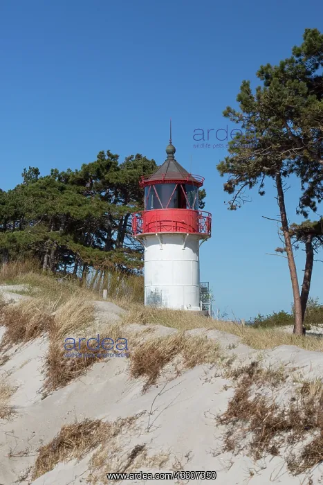 : Lighthouse Gellen at isle of Hiddensee - Western : Lighthouse Gellen at isle of Hiddensee - Western