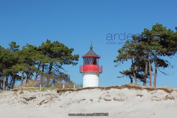 : Lighthouse Gellen at isle of Hiddensee - Western : Lighthouse Gellen at isle of Hiddensee - Western
