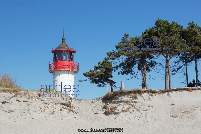 : Lighthouse Gellen at isle of Hiddensee - Western : Lighthouse Gellen at isle of Hiddensee - Western
