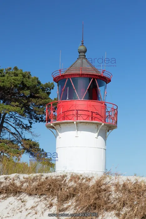 : Lighthouse Gellen at isle of Hiddensee - Western : Lighthouse Gellen at isle of Hiddensee - Western