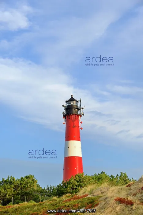 : Lighthouse of H&, x1b2bb5;m, Sylt, North Frisian : Lighthouse of H&, x1b2bb5;m, Sylt, North Frisian