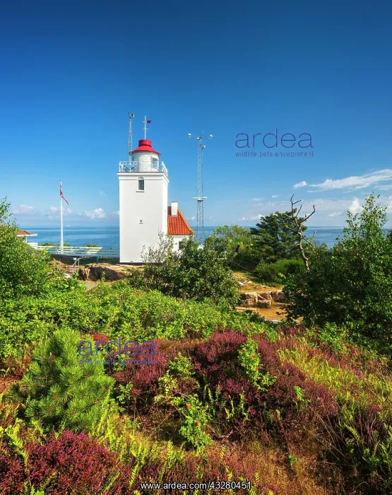 : Lighthouse Hammerodde Fyr, also Hammer Odde Fyr : Lighthouse Hammerodde Fyr, also Hammer Odde Fyr