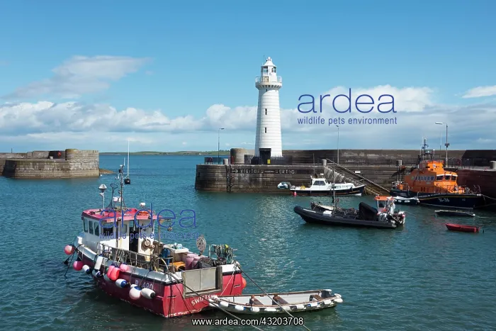 : Lighthouse and harbor, Donaghadee, County Down : Lighthouse and harbor, Donaghadee, County Down