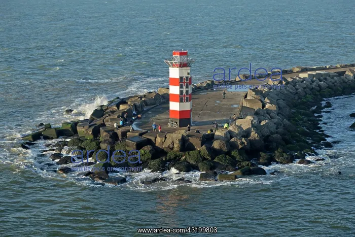 : Lighthouse in the harbour entrance, Ijmuiden, Netherlands : Lighthouse in the harbour entrance, Ijmuiden, Netherlands