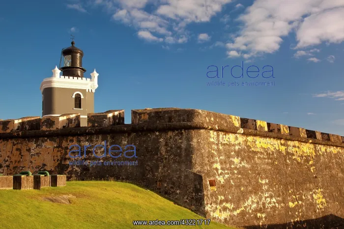 : Lighthouse in historic El Morro Fort in : Lighthouse in historic El Morro Fort in