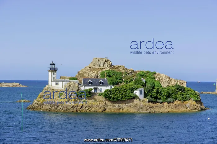 : Lighthouse on the Ile Louet, Carantec, Dspartement : Lighthouse on the Ile Louet, Carantec, Dspartement