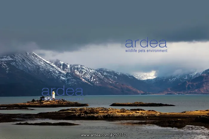 : Lighthouse on the Isleornsay catching a moments : Lighthouse on the Isleornsay catching a moments