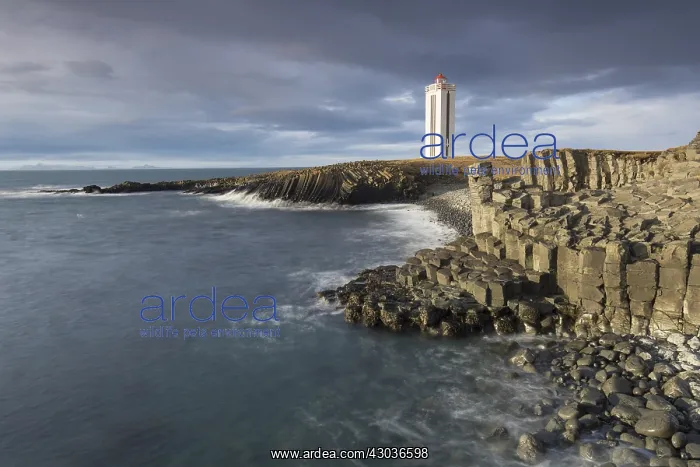 : Lighthouse Kalfshamarsvik with basalt rocks - Peninsula : Lighthouse Kalfshamarsvik with basalt rocks - Peninsula