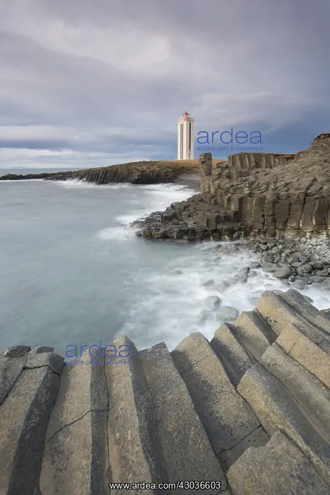 : Lighthouse Kalfshamarsvik with basalt rocks - Peninsula : Lighthouse Kalfshamarsvik with basalt rocks - Peninsula