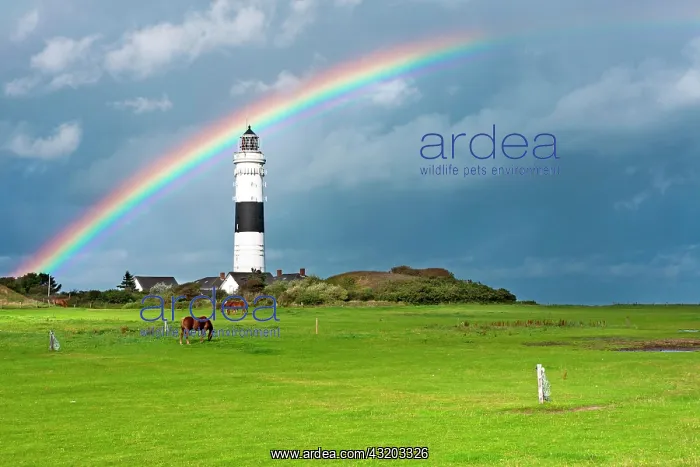 : Lighthouse in Kampen with a rainbow shortly after : Lighthouse in Kampen with a rainbow shortly after