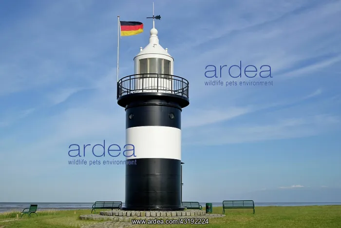  : Lighthouse Kleiner Preuie at the port of Wremen
