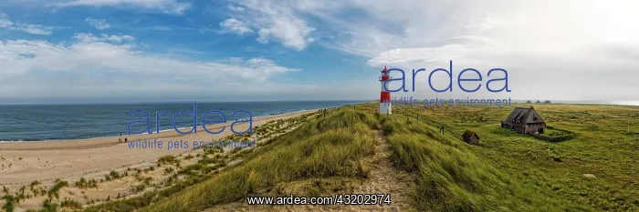 : Lighthouse List-Ost in the dunes, Ellenbogen, Sylt : Lighthouse List-Ost in the dunes, Ellenbogen, Sylt