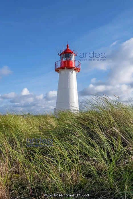 : Lighthouse List-West, Elbow, Sylt, North Frisian : Lighthouse List-West, Elbow, Sylt, North Frisian