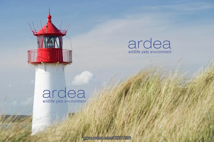 : Lighthouse List-West, List, Sylt island, Schleswig-Holstein : Lighthouse List-West, List, Sylt island, Schleswig-Holstein