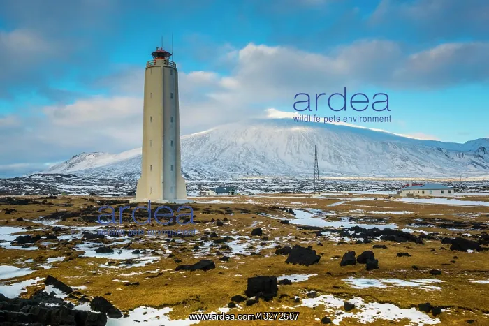 : Lighthouse of Malarrif, peninsula Snaefellsnes : Lighthouse of Malarrif, peninsula Snaefellsnes