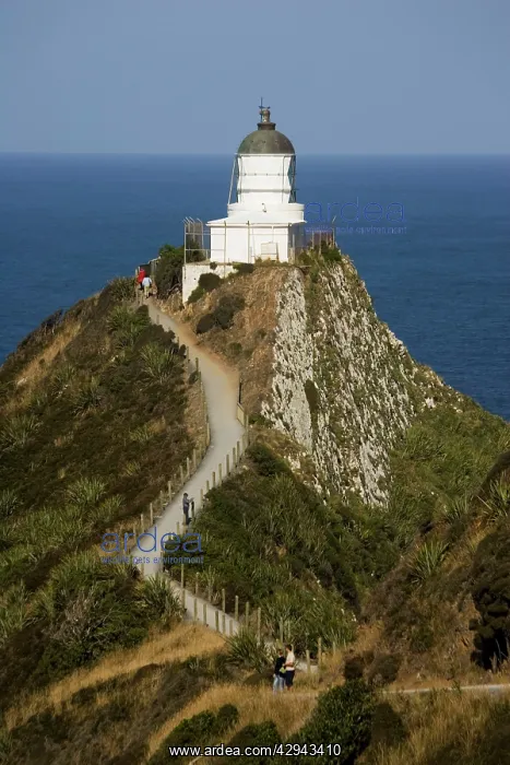 : Lighthouse - New Zealand's southernmost lighthouse : Lighthouse - New Zealand's southernmost lighthouse