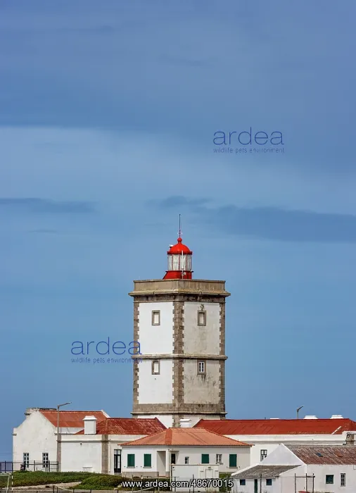 : Lighthouse in Peniche, Portugal : Lighthouse in Peniche, Portugal