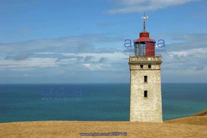 : Lighthouse of Rubjerg Knude on a wandering dune : Lighthouse of Rubjerg Knude on a wandering dune