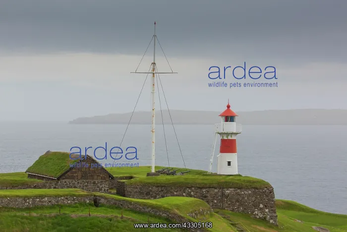 : Lighthouse Skansin at the historic fortress - Torshavn : Lighthouse Skansin at the historic fortress - Torshavn