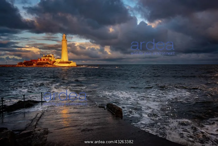: Lighthouse, St. Mary's Lighthouse with washed over : Lighthouse, St. Mary's Lighthouse with washed over