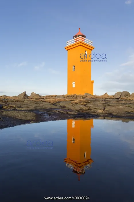 : Lighthouse Stafnes - Reykjanes - Iceland : Lighthouse Stafnes - Reykjanes - Iceland