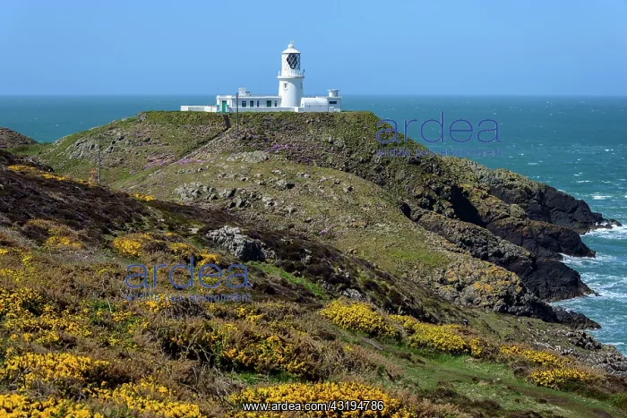  : Lighthouse, Strumble Head, Wales, United Kingdom